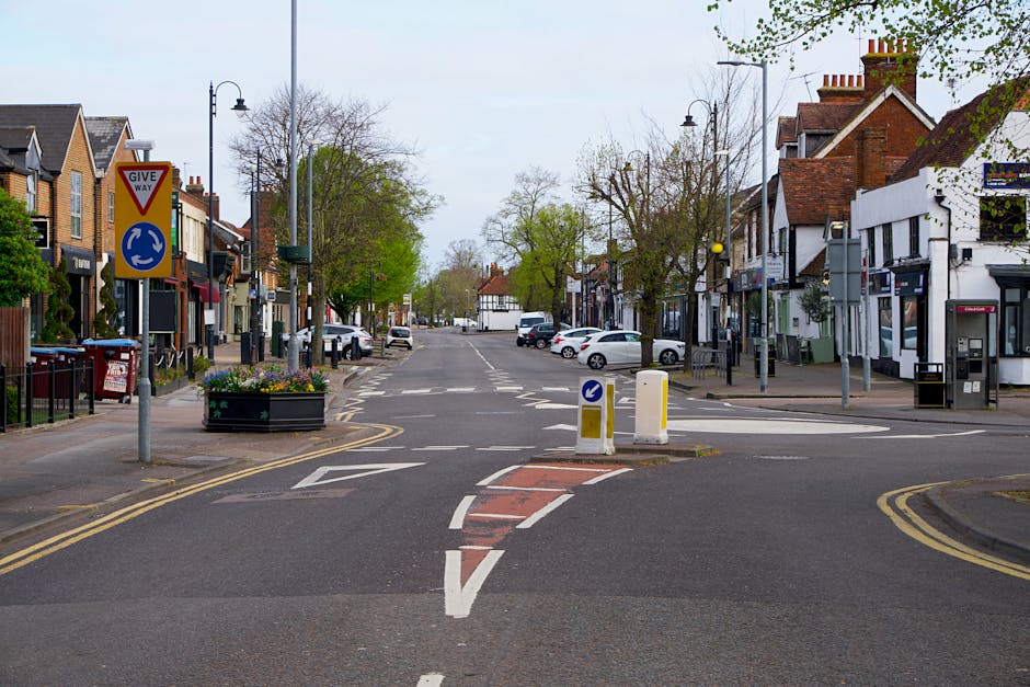 A street scene in a residential area with a two-way roundabout marked by a blue circular sign and a red and white give-way sign. The roundabout has a small island with a planter containing flowers, an