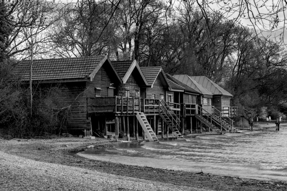 The image displays a wide view of Ruislip Lido with a sandy shoreline extending into the calm water, bordered by green shrubs and low bushes, some of which have yellow blossoms. In the background, the